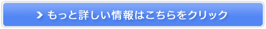 GNTTCY`qLbg̔TCg